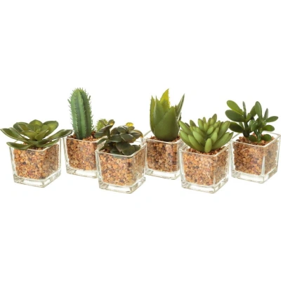 Umělé rostliny v sadě 6 ks (výška 8 cm) Cactus – Casa Selección