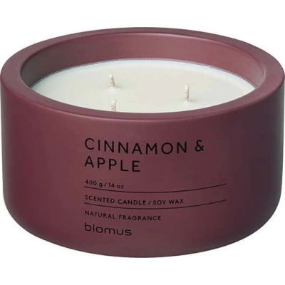 Vonná sojová svíčka doba hoření 25 h Fraga: Cinnamon & Apple – Blomus