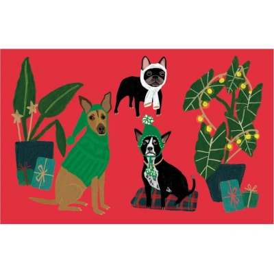Vánoční přání v sadě 5 ks Cat and Dog Palais – Roger la Borde