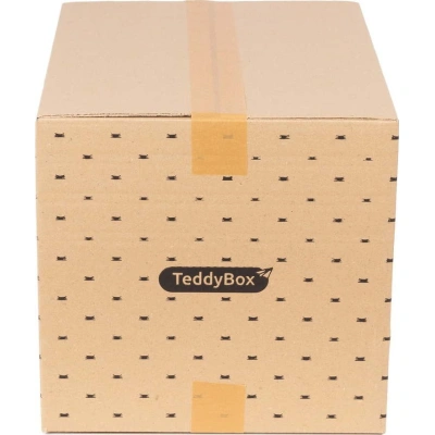 Sada 2 béžových úložných boxů Compactor Teddy, 42 x 30 cm