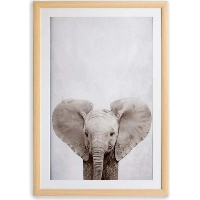 Nástěnný obraz v rámu Surdic Elephant, 30 x 40 cm